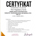 Powiększ obraz: certificate 3