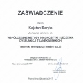 Powiększ obraz: certificate 9