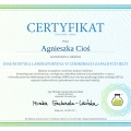 Powiększ obraz: certificate 34