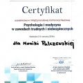 Powiększ obraz: certificate 3