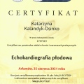 Powiększ obraz: certificate 11