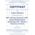 Powiększ obraz: certificate 300