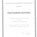 Powiększ obraz: certificate 13