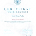 Powiększ obraz: certificate 3