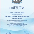 Powiększ obraz: certificate 3
