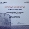 Powiększ obraz: certificate 24