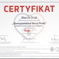 Powiększ obraz: certificate 8