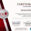 Powiększ obraz: certificate 10