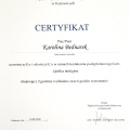 Powiększ obraz: certificate 23