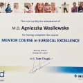 Powiększ obraz: certificate 7