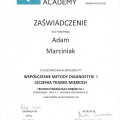 Powiększ obraz: certificate 24