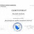 Powiększ obraz: certificate 4