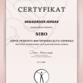 Powiększ obraz: certificate 3