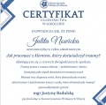 Powiększ obraz: certificate 4