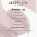 Powiększ obraz: certificate 13