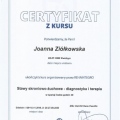 Powiększ obraz: certificate 4