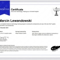 Powiększ obraz: certificate 1