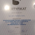 Powiększ obraz: certificate 7
