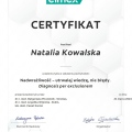 Powiększ obraz: certificate 4