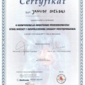 Powiększ obraz: certificate 4