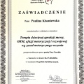 Powiększ obraz: certificate 16