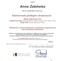 Powiększ obraz: certificate 23