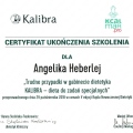 Powiększ obraz: certificate 11