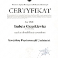 Powiększ obraz: certificate 1