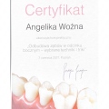 Powiększ obraz: certificate 7