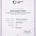 Powiększ obraz: certificate 1