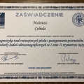 Powiększ obraz: certificate 1