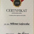 Powiększ obraz: certificate 4
