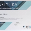 Powiększ obraz: certificate 8