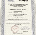 Powiększ obraz: certificate 1