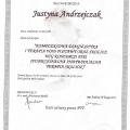 Powiększ obraz: certificate 5