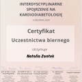 Powiększ obraz: certificate 2