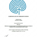 Powiększ obraz: certificate 1