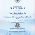Powiększ obraz: certificate 3