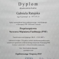 Powiększ obraz: certificate 6