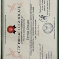 Powiększ obraz: certificate 12