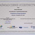 Powiększ obraz: certificate 2