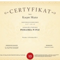 Powiększ obraz: certificate 8