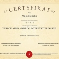 Powiększ obraz: certificate 4
