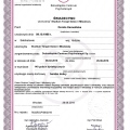 Powiększ obraz: certificate 2