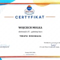 Powiększ obraz: certificate 10