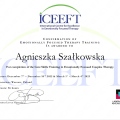 Powiększ obraz: certificate 8