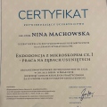 Powiększ obraz: certificate 14