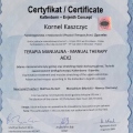 Powiększ obraz: certificate 10