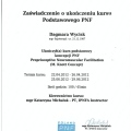 Powiększ obraz: certificate 21