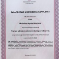 Powiększ obraz: certificate 7